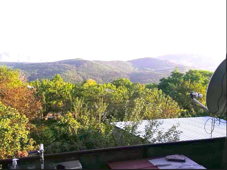 Дома для отпуска Manglisi Home & Rosha Park Манглиси
